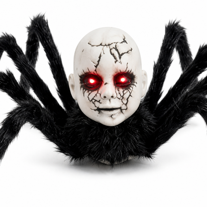 Doll-Face Walking Spider